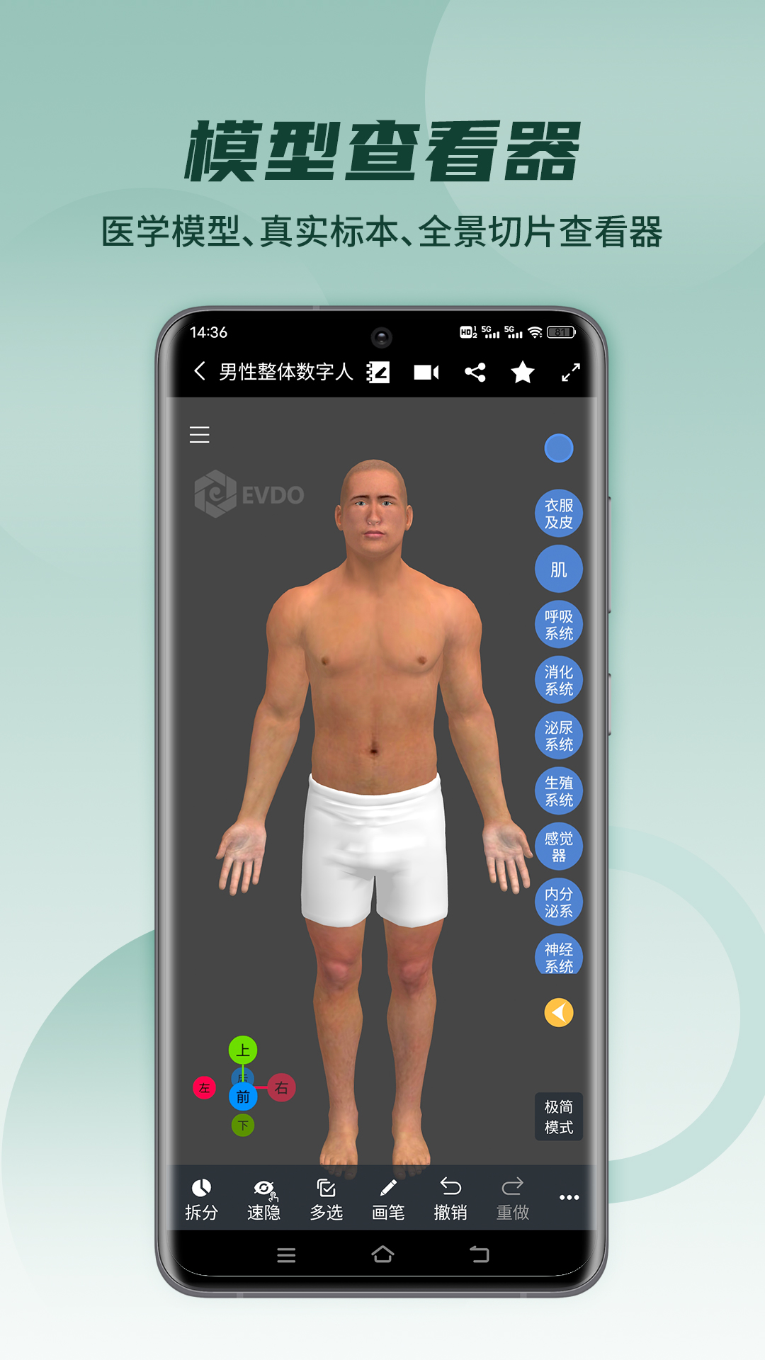 icon